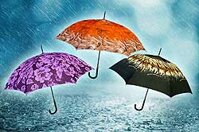 Deštníky dámské holové